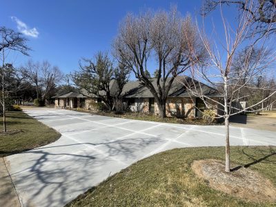 A driveway lined with trees and grass leading up to a house.